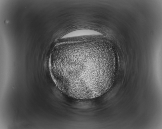 X0000086260185200704191911