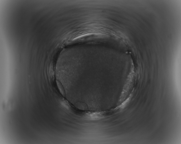 X0000086260186200704191911