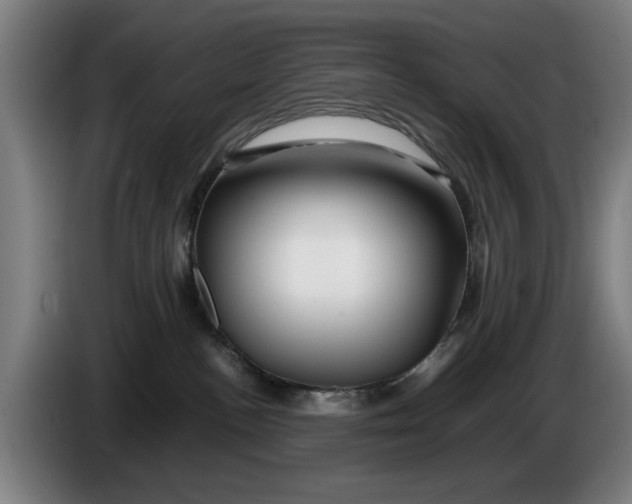 X0000086260188200704191911