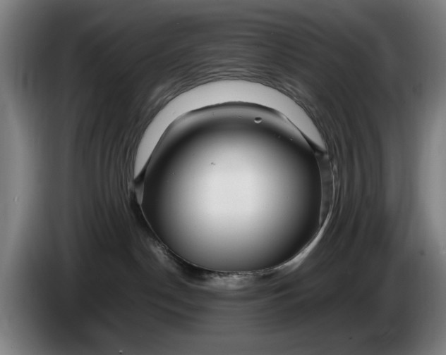 X0000086260190200704191911