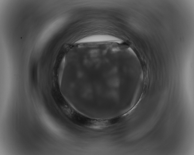 X0000086260191200704191911