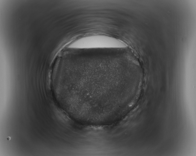 X0000086260194200704191911
