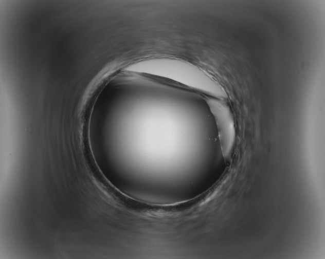 X0000086260197200704191911