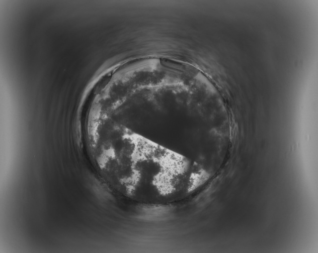 X0000086260198200704191911