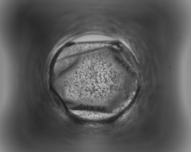 X0000086260199200704191911
