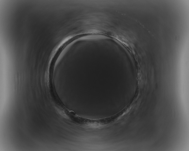 X0000086260200200704191911