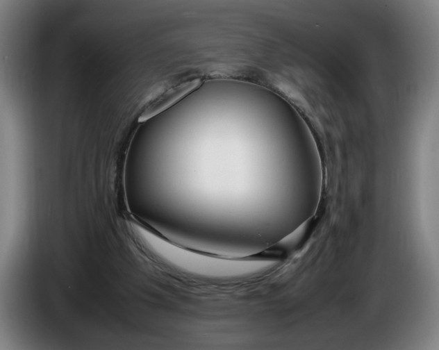 X0000086260201200704191911