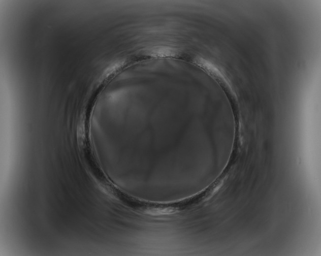 X0000086260202200704191911