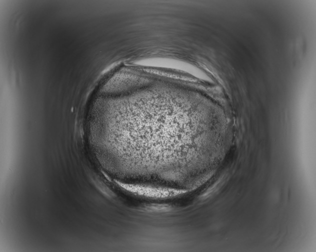 X0000086260203200704191911
