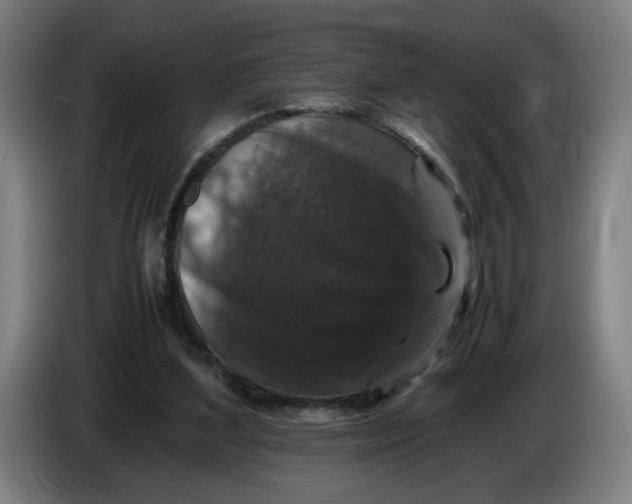 X0000086260204200704191911