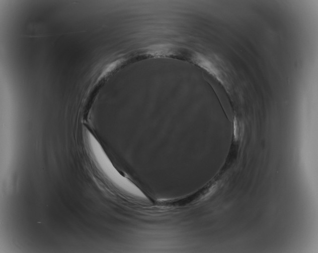 X0000086260205200704191911