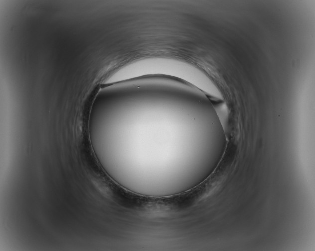 X0000086260207200704191910