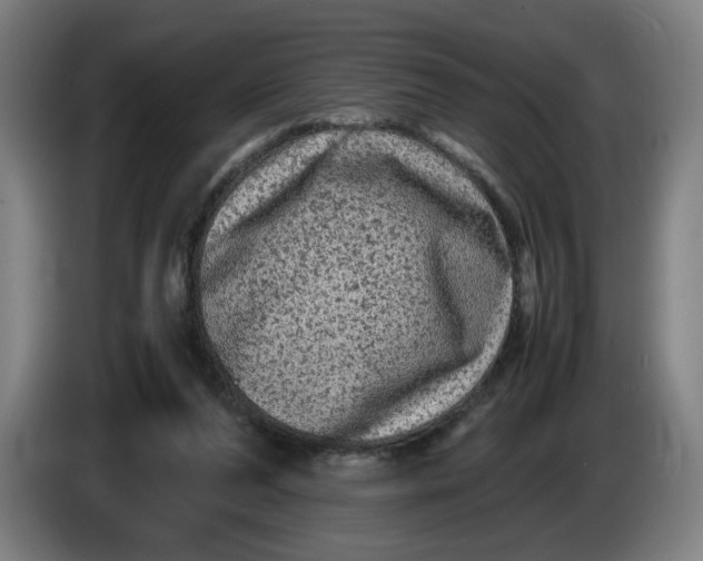 X0000086260208200704191910