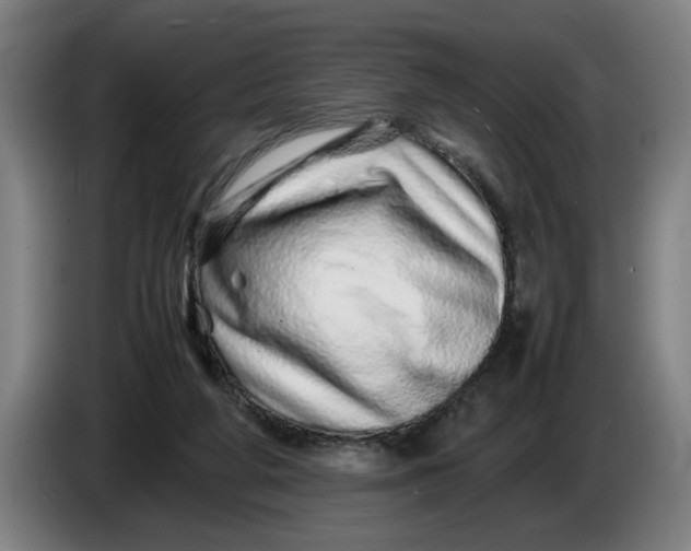 X0000086260210200704191910