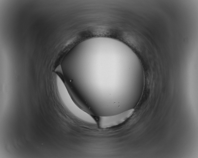 X0000086260211200704191910