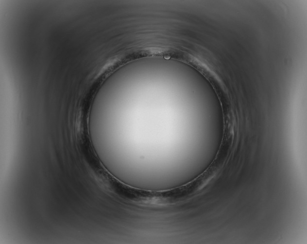 X0000086260212200704191910