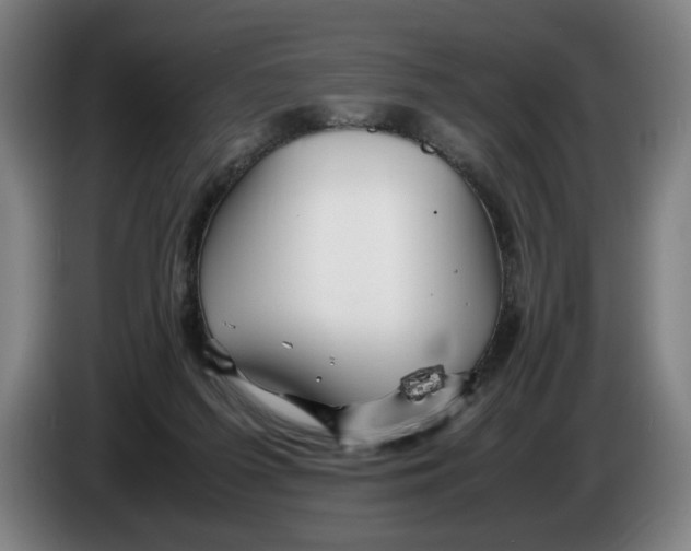 X0000086260215200704191910