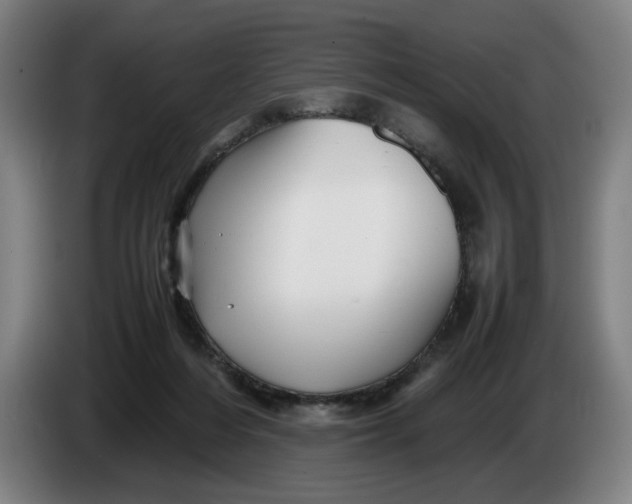 X0000086260216200704191910