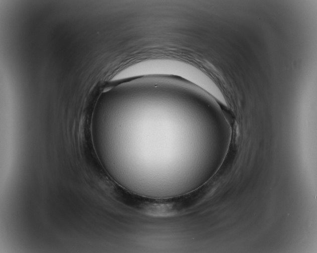 X0000086260217200704191910