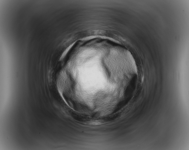 X0000086260218200704191910