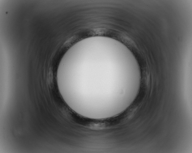 X0000086260220200704191910