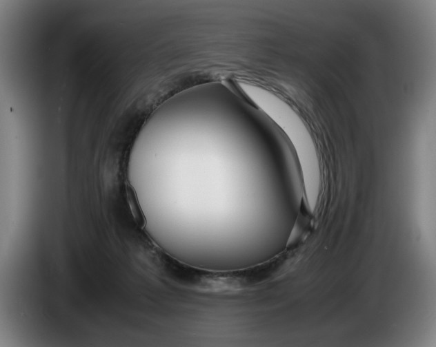 X0000086260221200704191910