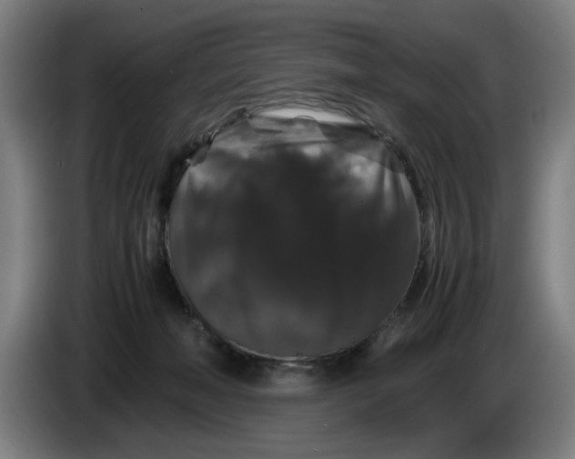 X0000086260222200704191910
