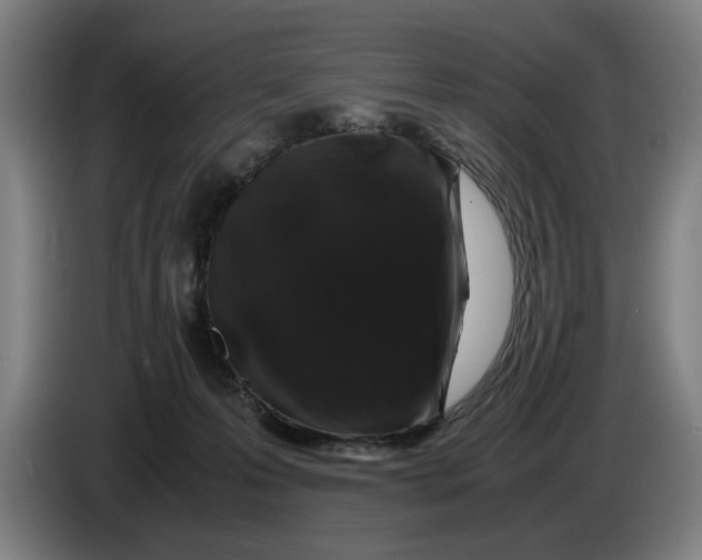 X0000086260223200704191910