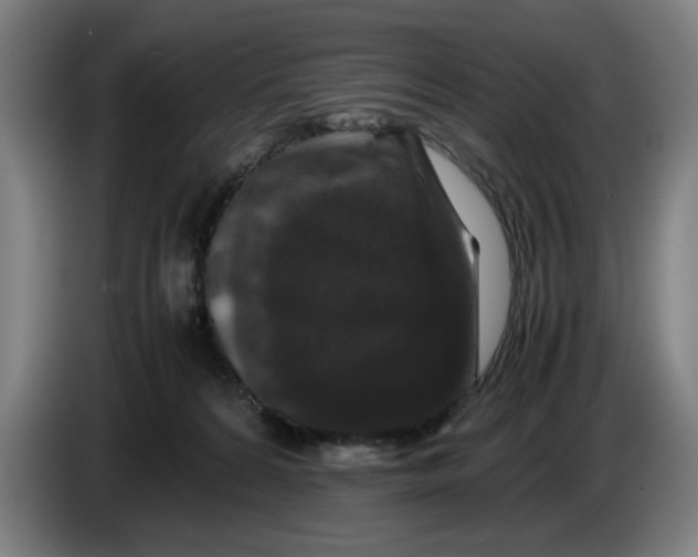 X0000086260224200704191910
