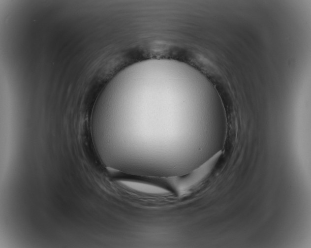 X0000086260225200704191910