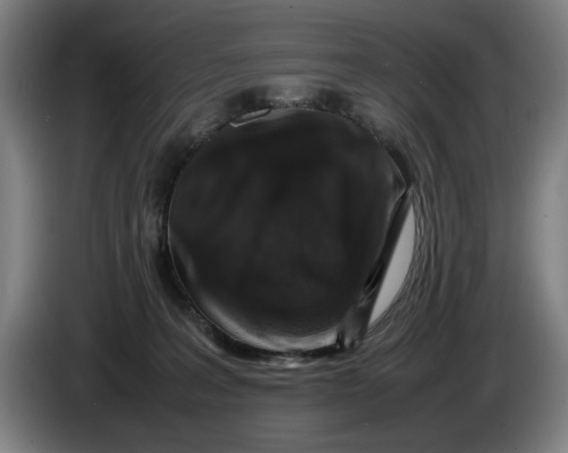 X0000086260227200704191910