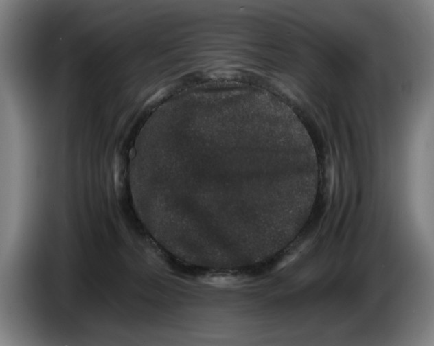 X0000086260228200704191910