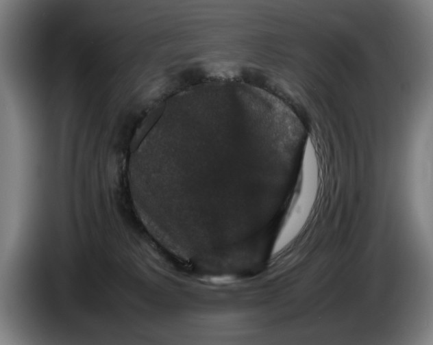 X0000086260229200704191910
