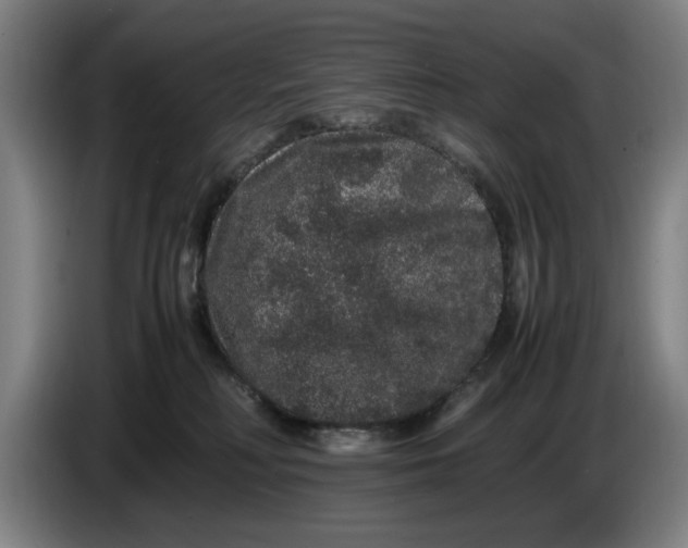 X0000086260230200704191910