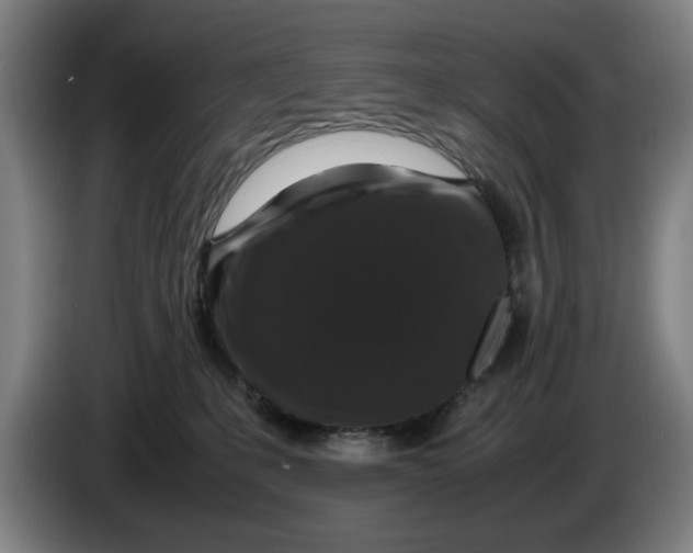 X0000086260231200704191910