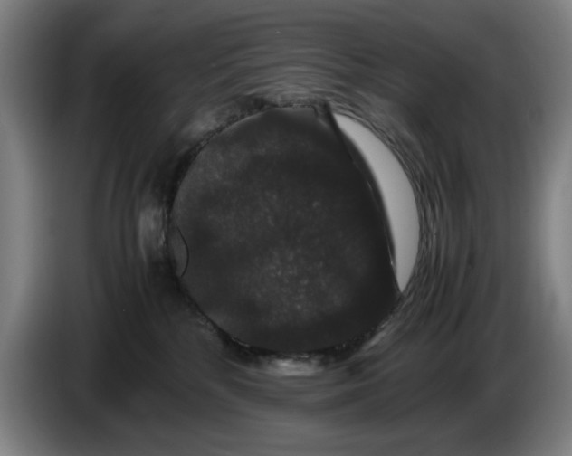 X0000086260232200704191910