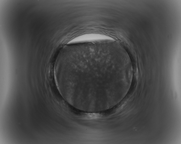 X0000086260233200704191910