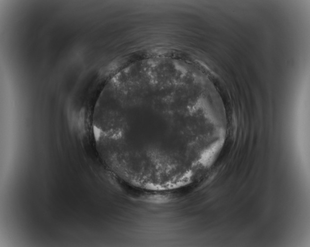 X0000086260236200704191910