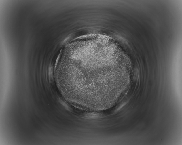 X0000086260238200704191910