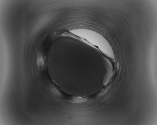 X0000086260239200704191910