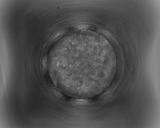 X0000086260240200704191910