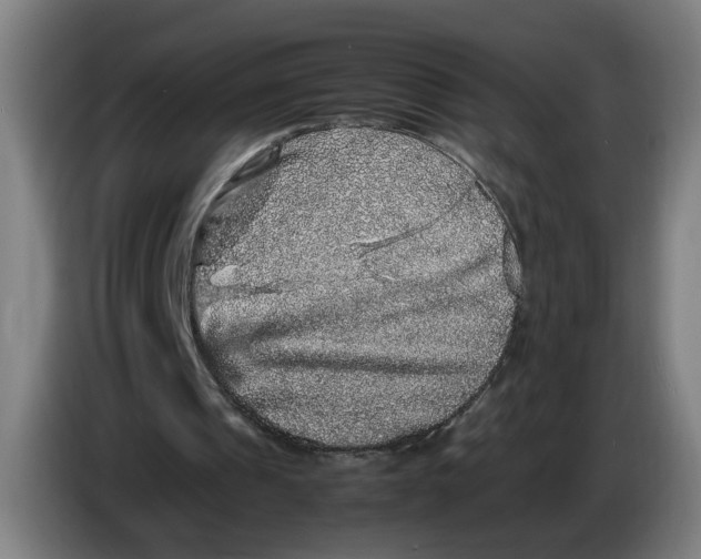 X0000086260241200704191909