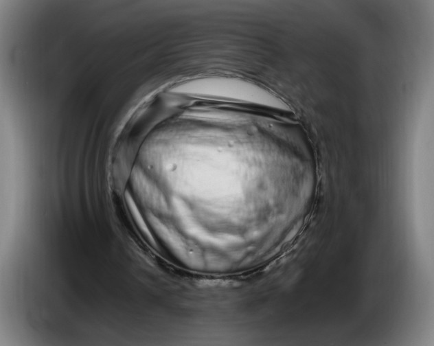X0000086260242200704191909