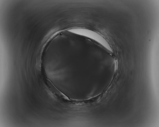 X0000086260243200704191909