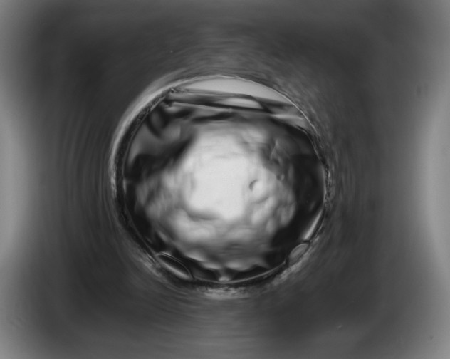 X0000086260246200704191909