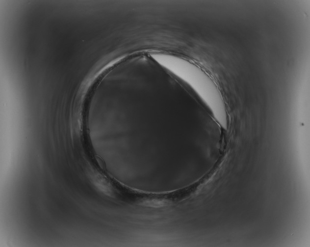 X0000086260247200704191909