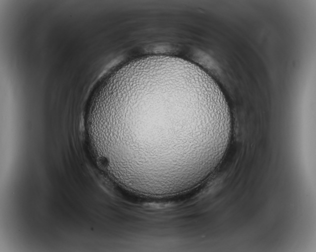 X0000086260251200704191910
