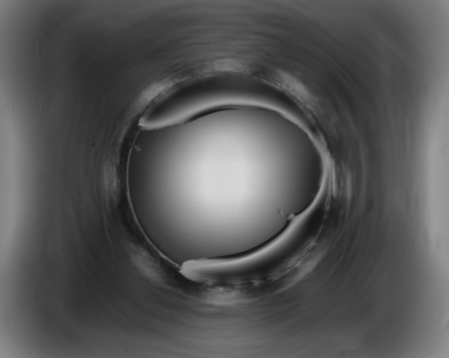 X0000086260252200704191910