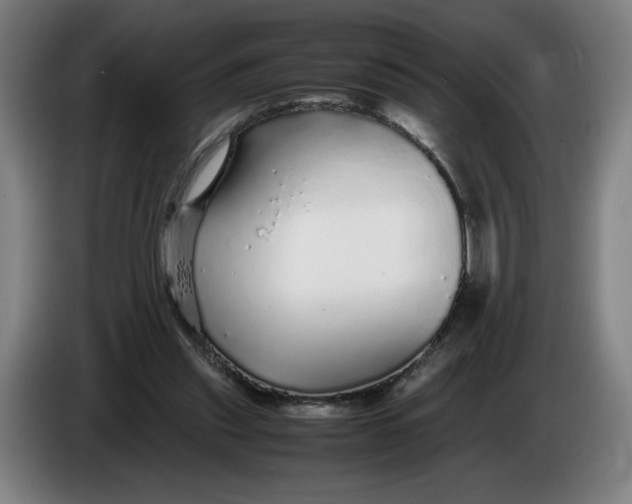 X0000086260253200704191910