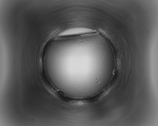 X0000086260254200704191910